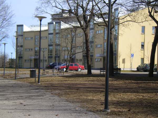 Trhus